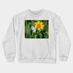 Checkered White Butterfly Enjoying  Huisache Daisy Crewneck Sweatshirt